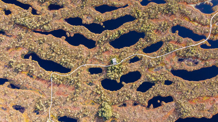 Aerial View of Wetland with Wooden Pathwayの写真素材