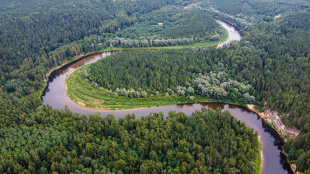 Aerial View of Meandering River Flowing Through Dense Green Forestの写真素材