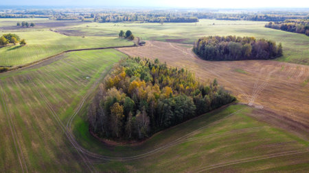 Aerial View of Rolling Farmlands with Patches of Autumn Forests in Rural Countrysideの写真素材