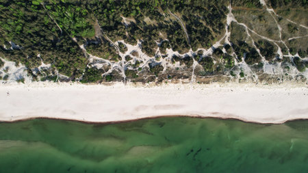 Aerial View of Pristine Sandy Beach with Clear Green Coastal Watersの写真素材