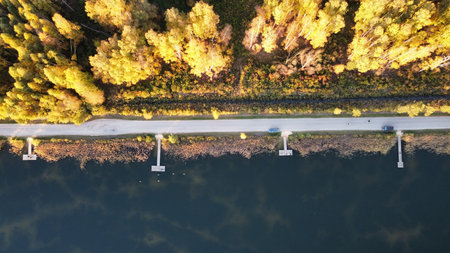 Aerial View of Autumn Forest Road Beside Calm Reflective Lakeの写真素材