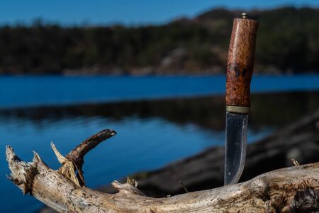 Knife with wooden handle in a thick dead branch with lake in backgroundの写真素材