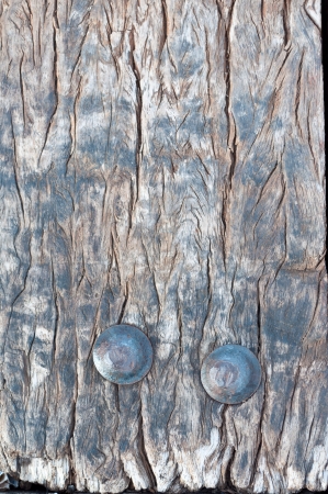 Texture of Old wood pattern background, low relief texture of the surface can be seen.の写真素材