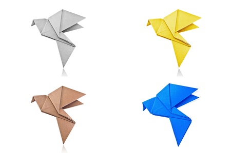 Origami Gray paper bird on white background.の写真素材