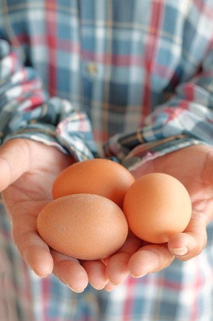 Eggs in farmer's hands.の写真素材
