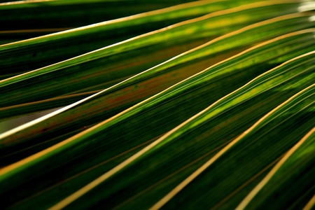 The combination of natural beauty の写真素材