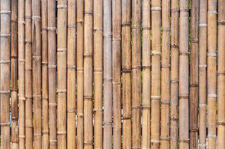 Bamboo wall or Bamboo fence texture backgroundの写真素材