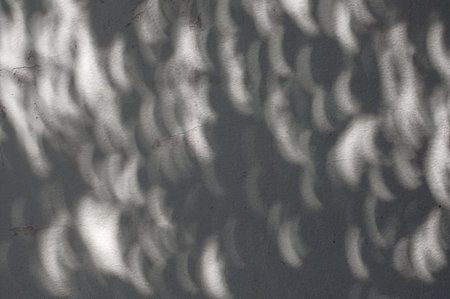 Shadow of solar eclipse on concrete wall, solar eclipse shape spots of sunlight on the wall during a partial eclipse of the sun lighting through tree branch shadowの写真素材