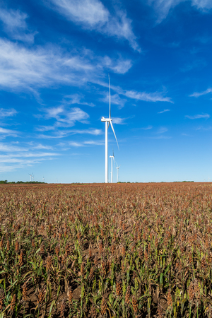 Wind turbines in a Kansas field.の写真素材