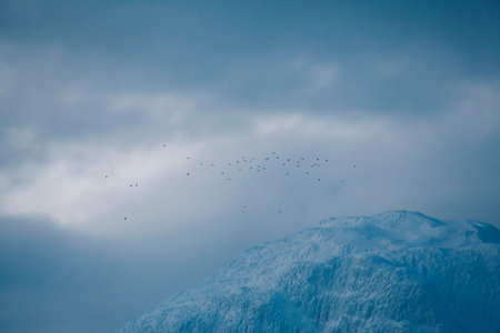 Flock of Birds fly over Surreal Alaska Mountain Peakの写真素材