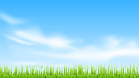 Vector green landscape. Sky, clouds and grass.のイラスト素材