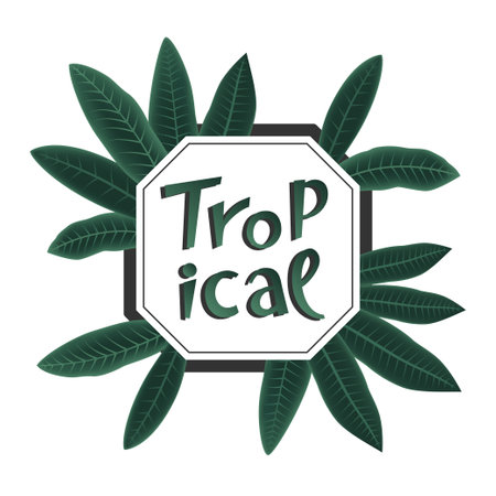 Tropical frame with plumeria leaves. Vector illustrationのイラスト素材