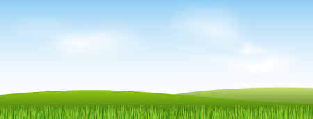 Summer landscape. Sky, grasses and green meadowsのイラスト素材