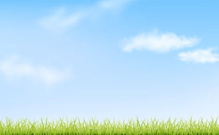Sky, clouds and grass. green landscapeのイラスト素材