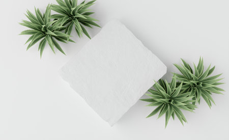 Product Podium - White Square Podium, White Background, Flat Lay 3D Illustrationの写真素材