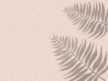 A wall that reflects the shadow of palm leaves