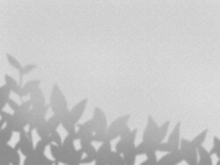 Concrete wall background illustration with the shadow of a treeの写真素材