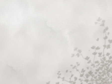 Simple background of plant shadows on concrete wall