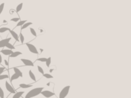 Background with leaf shadows on beige wall