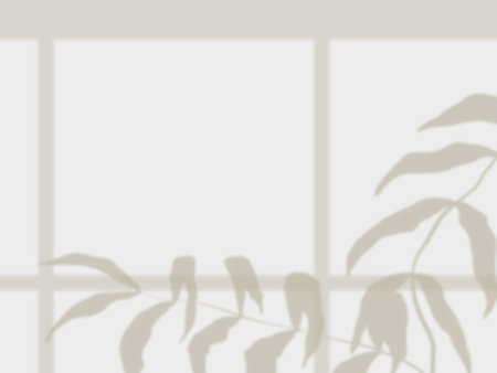 Simple background with plants and window shadows on beige wallsの写真素材
