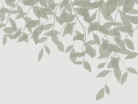Simple background with shadows of tree leaves on the wall