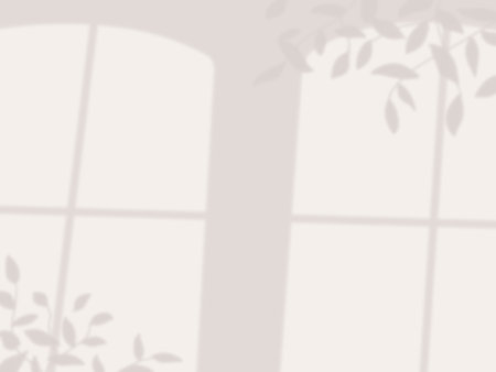 Simple background with tree and window shadows on the wallの写真素材