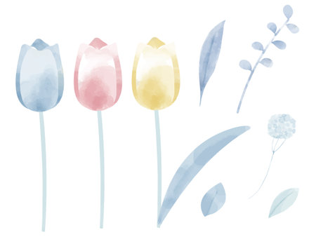 Illustration set of colorful tulips and leaves in watercolor styleのイラスト素材