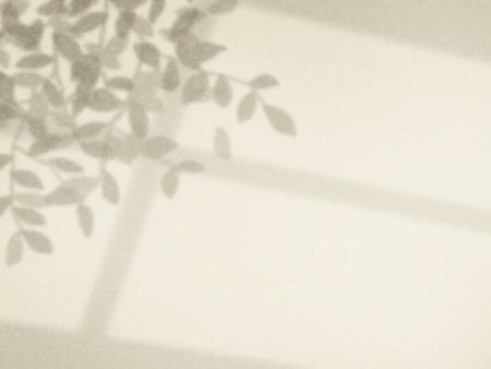 Background with tree and window shadows on the wall