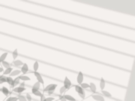 Simple background with plants and window shadows on the wall