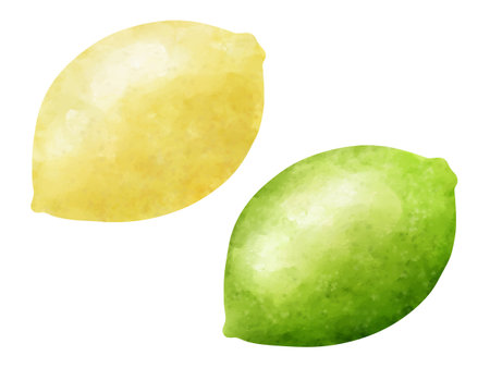Set of watercolor illustrations of lemon and limeのイラスト素材