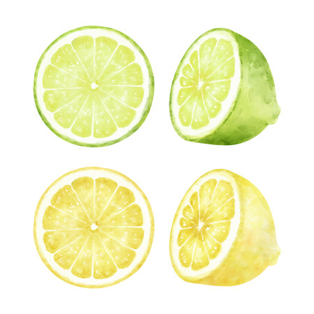 Set of watercolor illustrations of lemon and limeのイラスト素材