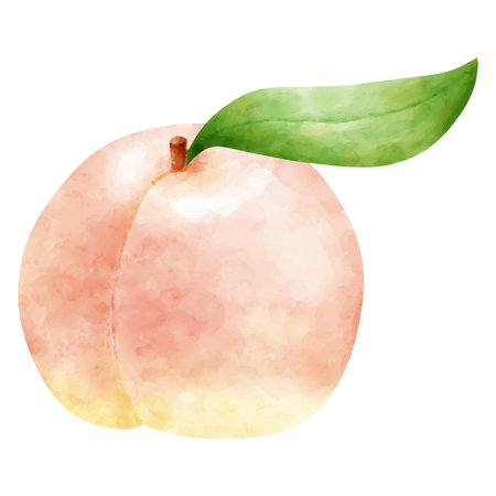 Peaches and leaves in watercolor styleのイラスト素材