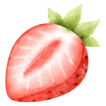 Clip art of strawberry cut in half in watercolor styleのイラスト素材