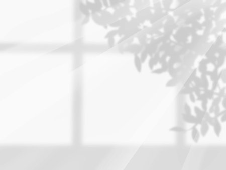 Background with window and tree shadows on white wallのイラスト素材
