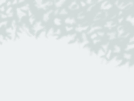 Background with tree shadows on the wallのイラスト素材