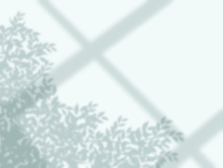 Window and tree shadows on wall backgroundのイラスト素材