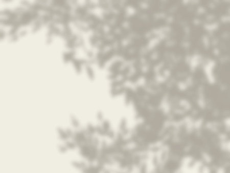 Background with tree shadows on the wallのイラスト素材