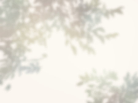 A simple background with tree shadows cast on the wall