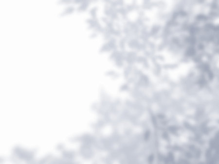 Background material with tree shadows cast on a white wall