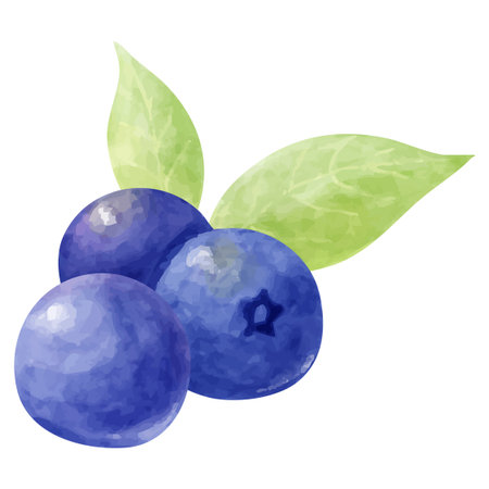 Watercolor-style illustration of blueberries and leavesのイラスト素材