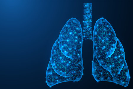 Human lungs. Internal respiratory organ. Polygonal construction of lines and points. Blue background.のイラスト素材