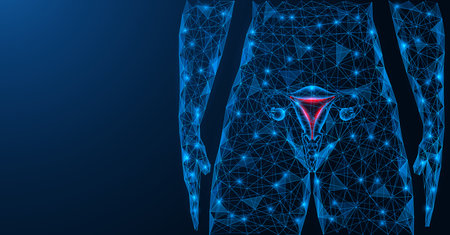 Inflammation and pain in the uterine region. Female reproductive organ. A low-poly model of interconnected lines and points. Blue background.のイラスト素材
