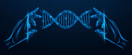 The study of DNA cells in virtual reality. Polygonal design of interconnected lines and points. blue background.のイラスト素材