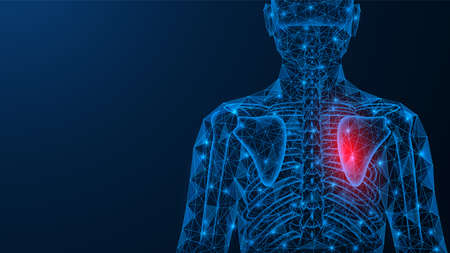 Back pain in the scapula area. The vertebral part of the human skeleton. Polygonal design of interconnected lines and points. blue background.のイラスト素材