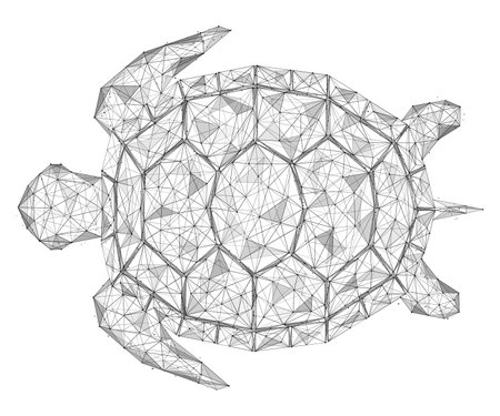 waterfowl turtle. Polygonal design of lines and dots. white background.のイラスト素材