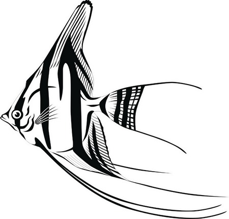 Striped fish with a round body and long fins.のイラスト素材