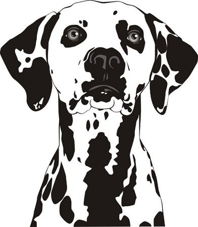Spotty dog with trailing ears.のイラスト素材