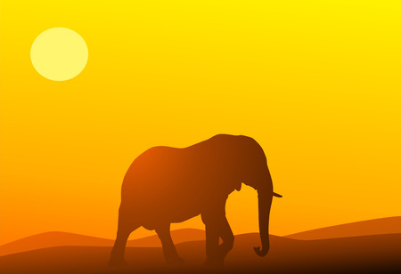 Elephant against a red sunsetのイラスト素材