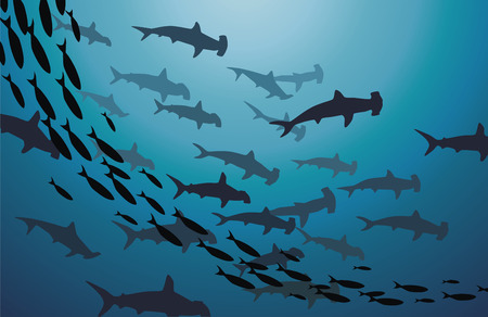 The flight of sharks-hammers floats against the sunのイラスト素材