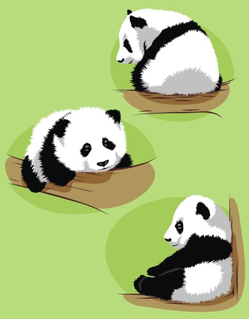 The cub of a panda creeps on a tree in various posesのイラスト素材